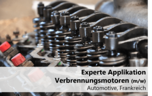 Experte Applikation Verbrennungsmotoren, Automobilindustrie Frankreich